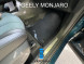 EVA коврики для GEELY MONJARO передние, 2 шт 
